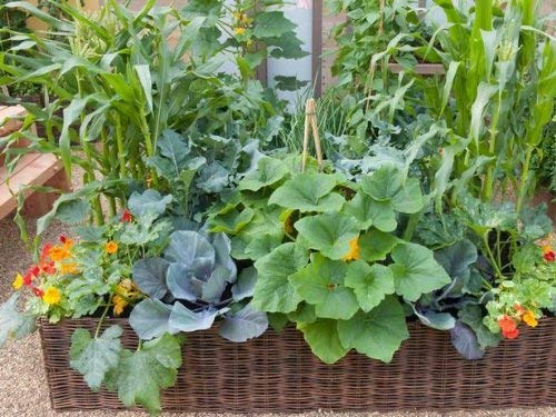 Master Garden Products Mgp Complete Woven Willow Raised Bed, 48" W X 96" L X 10" H #TOP3