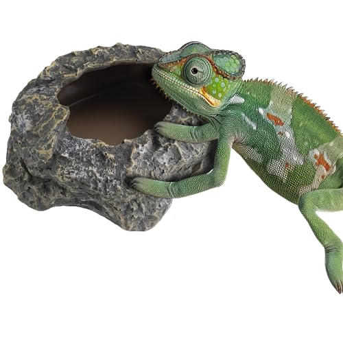 Navaris Recipiente para Terrarios - Comedero Bebedero y Accesorio de Poliresina para Terrario de Tortugas de Tierra y de Agua Gecko Camaleon y Otros Reptiles - Aspecto Natural