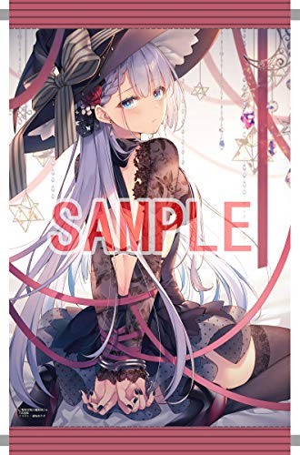 Amazon.co.jp: 聖剣学院の魔剣使い4巻 メロンブックス 特典 A3