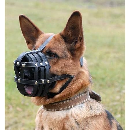 Amazon 犬 口輪 大型犬 ジャーマンシェパードサイズ Fordogtrainers マズル 口輪 通販 Amazon 犬 口輪 大型犬 ジャーマンシェパードサイズ Fordogtrainers マズル 口輪 通販