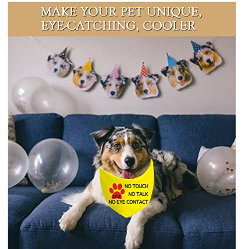 Stop Dot Not Pet/No Touch No Talk/Do Not Distract Hundehalstuch, Kein Auge D