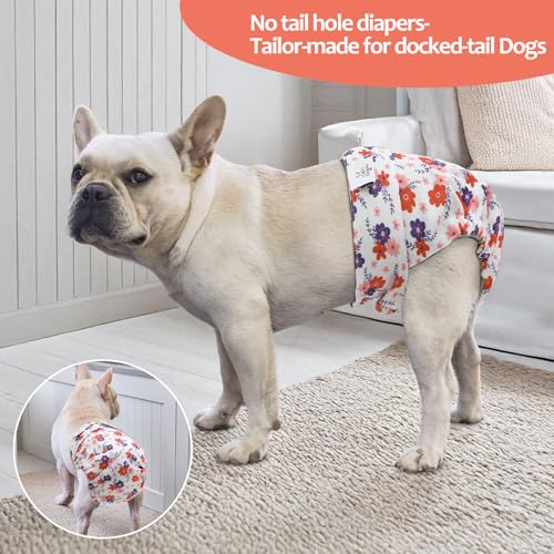 Image of CuteBone Washable Dog Diapers Female No Tail Hole 3 Pack Reusable Doggie Period Training Pants for Docked-Tail Frenchie French Bulldog Boston Terrier Without Tail WWD35L