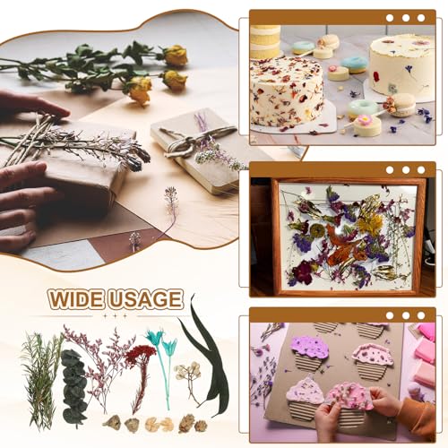 Set de Flores Secas Naturales para Manualidades miniatura 6