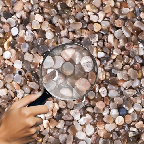 Image of Black Moonstone Chips Bulk 1lb, 850+ Pieces, 5-8mm Natural Gemstones