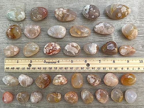 Image of 1 /2 LB Tumbled Stones - Polished Flower Agate Gemstone Healing Crystals