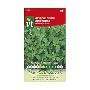 Citroenbasilicum – kruidenzaad