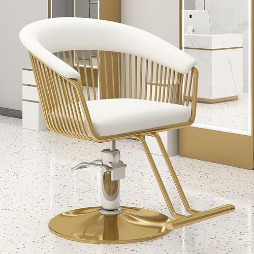 Adjustable Hydraulic Salon Chair with Foot Rest - Professional Hairdressing &amp; Beauty Styling Chair for Salons, Spas, and Barbershops - Comfort &amp; Durability