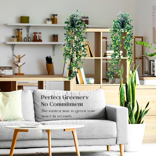 JEY PRODUCTS 2pc Hanging Plant Decorative Artificial Plants in Pots- Small Plastic Fake Plants Indoor with Pot - Eucalyptus Rosemary Succulents Mini Faux Plants for Wall Desk Bedroom Decoration - Cosy Home Interiors JEY PRODUCTS 2pc Hanging Plant Decorative Artificial Plants in Pots- Small Plastic Fake Plants Indoor with Pot - Eucalyptus Rosemary Succulents Mini Faux Plants for Wall Desk Bedroom Decoration - Image 8