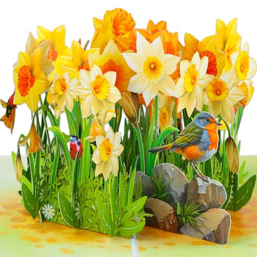 FaCraft 3D Pop Up Mothers Day Card - Daffodils Flower Pop Up Gift