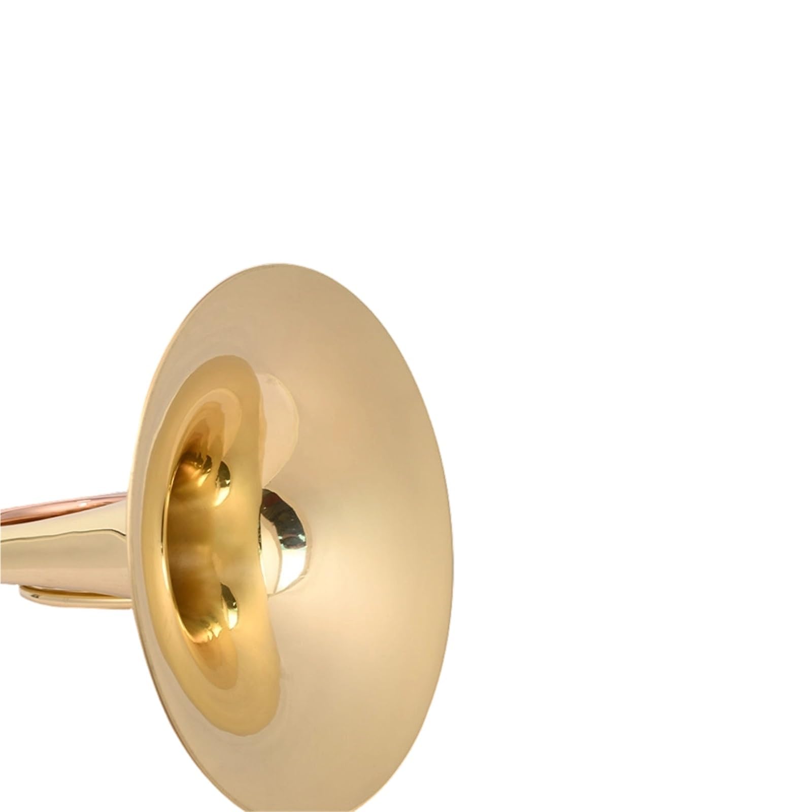 Corno Francese Professionale Corno Francese A 3 Valvole E Singola Con Tasto F Adatto Per Principianti Ensemble Professionali(F Horn)