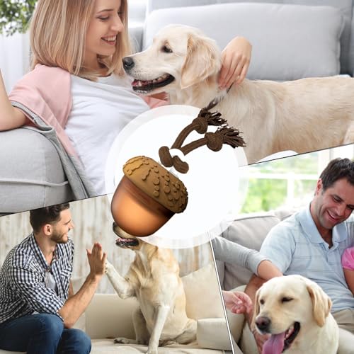 Jouet interactif pour chien : balle de mouvement automatique avec queue
