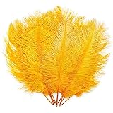 Ostrich Feather Plumes for Crafts, Wedding, Home Decor (Yellow, 12-14 in, 12 Pack)