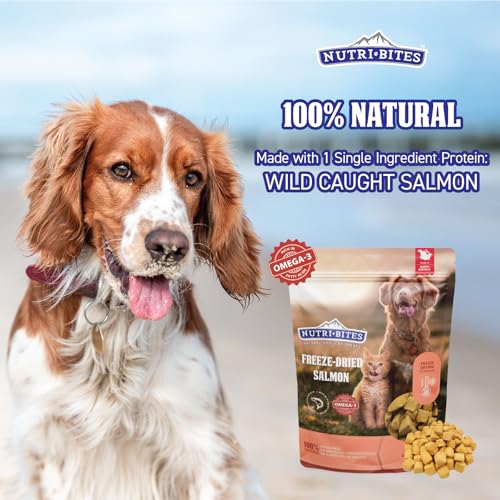 Image of Nutri Bites Freeze-Dried Salmon Dog & Cat Treats, Single Ingredient, 2-Pack