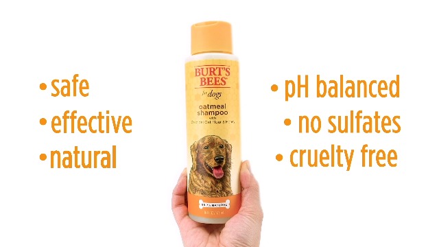 Burt's Bees for Dogs Natural Oatmeal Shampoo with Colloidal Oat Flour and Honey| Oatmeal Dog Shampoo, 4 Ounce Dog… - Image 7