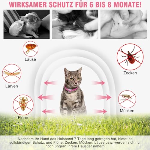 DEWEL 34.5cm Zecken Halsband für Katze, Floh Zecken Kragen Floh-und Zecken Prävention Halsbänder, Verstellbar Wasserdicht Katze Flohhalsband (Rosa)