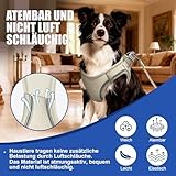 Hundegeschirr Set L mit 255cm Langer Leine – Gepolstertes Softgeschirr für mittlere Hunde – Sicherer Halt & Optimale Kontrolle durch Step-In Design – Beige