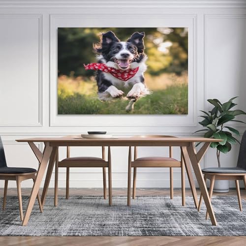 Cuadro de Border Collie para tapar imperfecciones de pared con arte 4