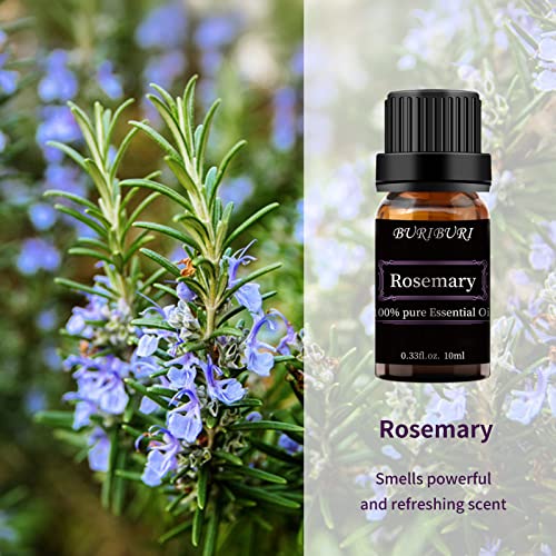 Image of BURIBURI Rosemary Essential Oil 100% Pure, Undiluted, Natural, Organic Aromatherapy Rosemary Oil Essential Oils 10ML