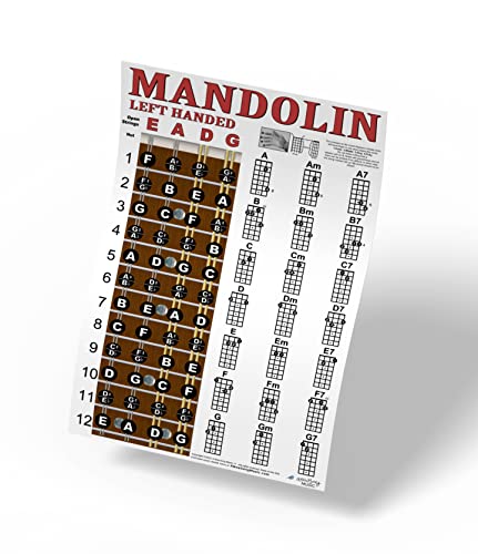 Left Handed Mandolin Chord & Fretboard Note Chart Instructional Easy Poster for Beginners Chords...