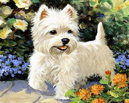 Peinture au diamant 5D contre le stress - Kit broderie strass 30x40cm