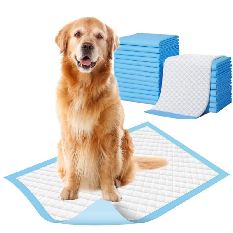 Pet Pads™ 60 Pcs Heavy Duty Pet Training Pee Pads 60x90 cm with Adhesive Tabs | Super Absorbent & Leak-Proof Disposable Puppy Potty Pads | Quick Dry Pet Pads for Small & Large Dogs |