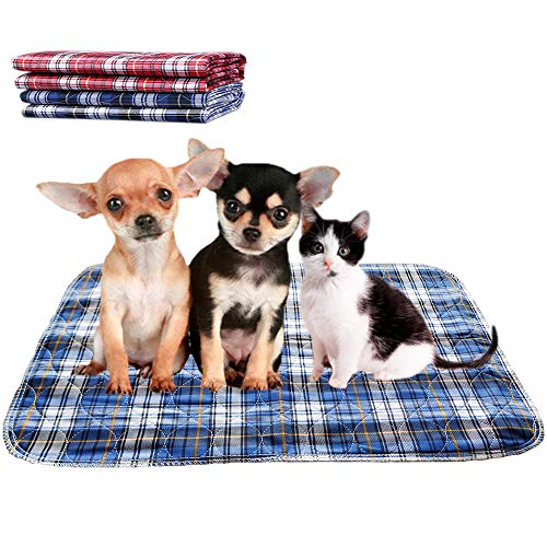 Amakunft L p􂦂 ybgV[c pg[jOpbh GR 􂦂 h  ~ ybgp}bg ^ ^ Ďgp\gCV[g ~}bg 2Zbg 60X90cm