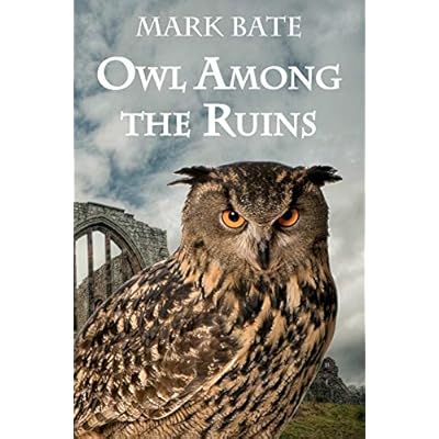 Owl Among the Ruins