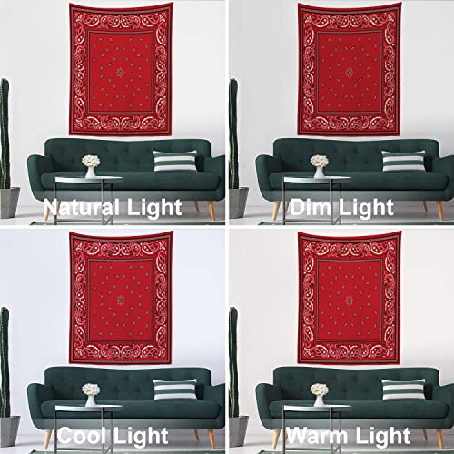 Batmerry Red Black Paisley Tapestry,Colorful Floral Vintage Bandana Border Wall Art Hanging Decoration Polyester Fiber White Ruffled Around thumb #5