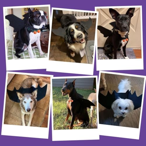 Fledermausflügel Hund,Halloween Fledermaus Hundekostüm,Hund Fledermausflügel mit Kürbisglocke,Einstellbar Hunds Fledermaus Flügel,Cosplay Dekoration Halloween Haustier Kostüm L