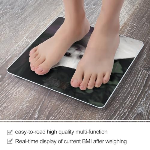 Báscula digital para baño con vidrio templado y pantalla LCD miniatura 5