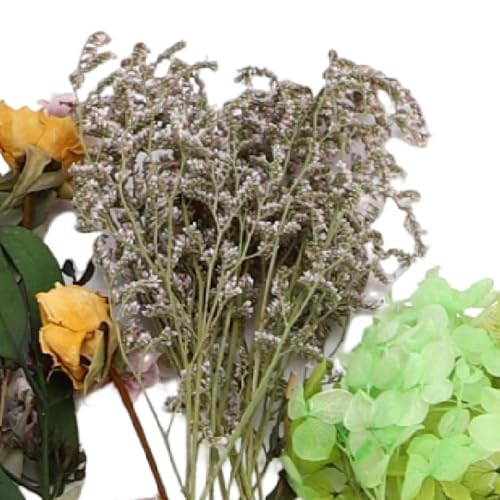 3 cajas de flores secas para manualidades miniatura 4