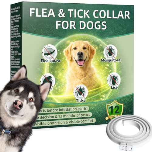 Collare Antiparassitario per Cani 65cm con Oli Essenziali di Citronella