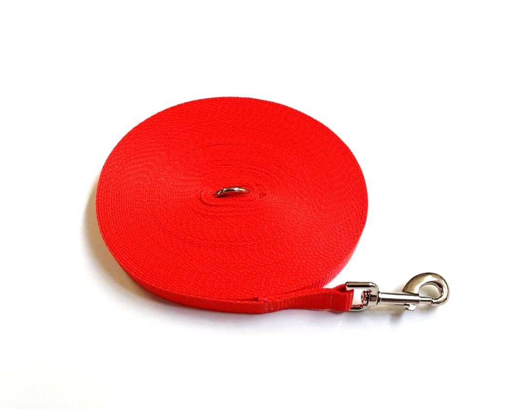 Dog Training Lead 15ft 4.5 Metre Leash Horse Lunge Line Tracking Recall Obedience In 25mm Polypropylene Webbing (Orange)