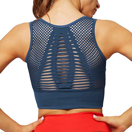 JIXUAN Loli Beauty Back Mesh Ropa Interior Deportiva Transpirable Sin Costuras Damas Secado Rápido A Prueba De Golpes Yoga Cover