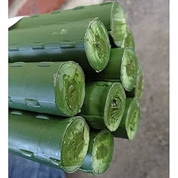 Amazon | シンセイ 園芸支柱 イボ付 内キャップ式 20Φ×2400mm 50