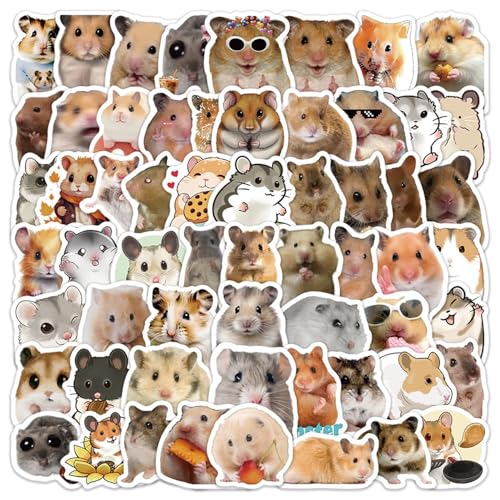 nX^[V[60AqNlAꗎhrj[V[obOrAm[gp\RAM^[XP[g{[hAוAgѓdb (nX^[C)