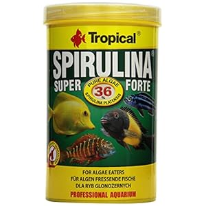 Tropical Super Spirulina Forte (36%) vlokkenvoer, per stuk verpakt (1 x 1 l)