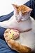 Hartz Just For Cats Running Rodent Vibrating Plush Mouse Cat Toy