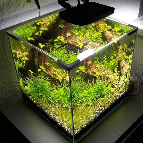 Fixation pour verre 8-10mm idéale pour aquarium et vitrine - 6