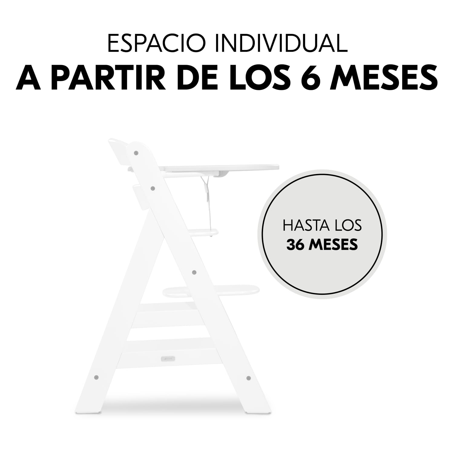 hauck Click Tray Bandeja para Trona Bebé Evolutiva Alpha Plus | Accesorio de Plástico Reciclado GRS para Tronas hauck - Instalación con un Clic sin Herramientas- Limpieza Fácil