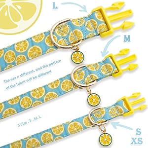 Faygarsle Cute Dog Collar for Girls Boy Dogs Soft Fancy Pet Collar with Lemon Design Ideal Yellow Green Summer Dog Collar for Small Medium Large Dogs M