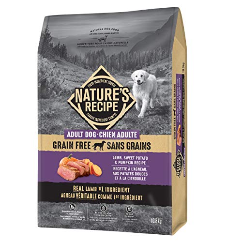 Nature's Recipe Adult Grain Free Natural Dry Dog Food Lamb, Sweet Potato & Pumpkin Recipe 10.8 kg (Pack of 1) image 5