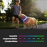 Kpuplol Leuchthalsband Hund, Hundehalsband Leuchtend, Wiederaufladbar Hundehalsband Leuchtend LED Halsband für Hunde Einstellbare Größe, 3 Beleuchtungsmodi für Kleine Mittlere Große Hunde
