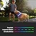 Kpuplol Leuchthalsband Hund, Hundehalsband Leuchtend, Wiederaufladbar Hundehalsband Leuchtend LED Halsband für Hunde Einstellbare Größe, 3 Beleuchtungsmodi für Kleine Mittlere Große Hunde
