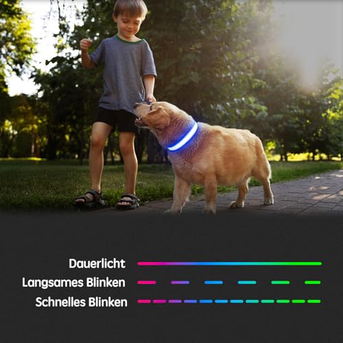 Kpuplol Leuchthalsband Hund, Hundehalsband Leuchtend, Wiederaufladbar Hundehalsband Leuchtend LED Halsband für Hunde Einstellbare Größe, 3 Beleuchtungsmodi für Kleine Mittlere Große Hunde