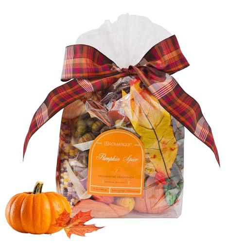 Aromatique Pumpkin Spice Potpourri – 7 oz Decorative Fragrance with