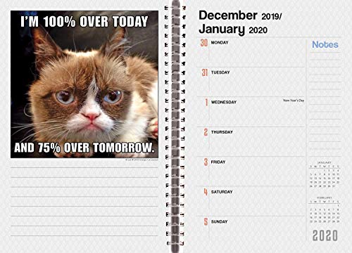 SELLERS PUBLISHING, INC. Grumpy Cat 2020 Daily Weekly Planner Organizer 18-Month: July 2019 - December 2020, 6" x 9" (CW0846)