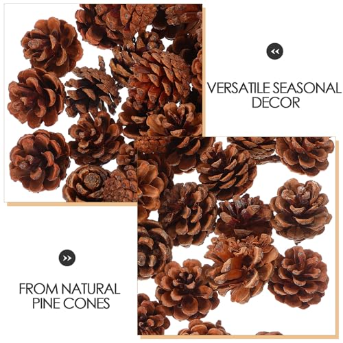 Pommes de pin creations DIY Gatuida pour decoration de table net - 4