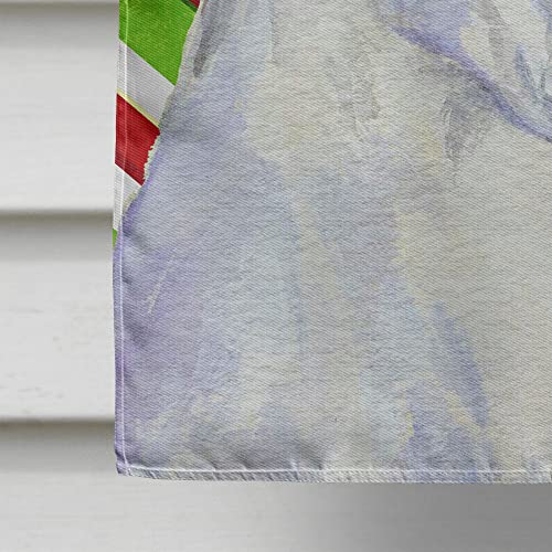 Drapeau Boxer de Noël grand format cadeau idéal pour propriétaire de chien et maison - 5