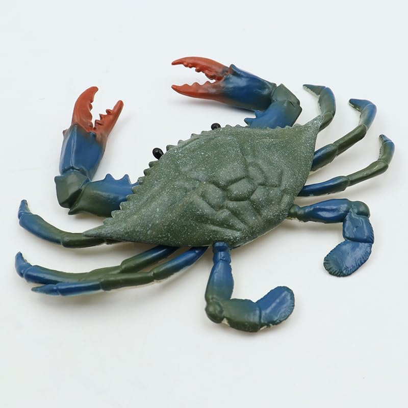 Namvo Crab Figures Sea Life Animals Figurines Realistic Sea Creature Model Role Play, Blue - Image 2